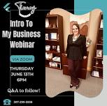 Online Zoom Seminar- Intro To My Business as a Financial Strategist