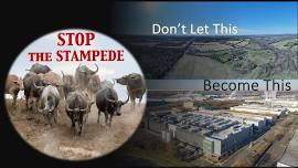 Stop The Stampede - Dinner & Silent Auction