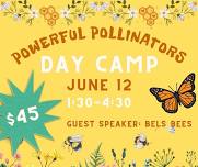 Bee/Butterfly Day Camp