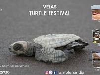 Velas Turtle Festival with Harihareshwar