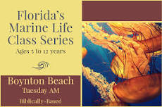 2024-2025 Florida's Marine Life Class Series @Boynton Beach | Tuesday Mornings (Biblically-Based) — Saltwater Studies