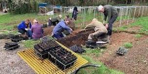 Dartington Tree Nursery Maintenance Sunday