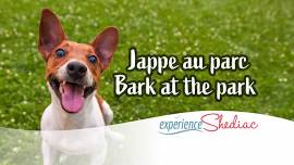 Bark at the Park