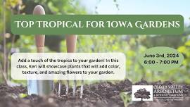 Top Tropical for Iowa Gardens