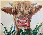 Highland Calf - Family-Friendly *Pre-Sketched*