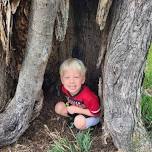 Nature Navigators (Ages 4-6)  — Prairie Loft Center for Outdoor & Agricultural Learning