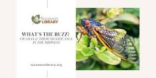 What’s the Buzz? Cicadas and their Significance in the Midwest