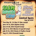 Summer Farm Camp for kids