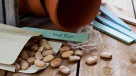 Seed Exchange In the MG Library