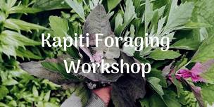 Kapiti Wild Edible Plants Foraging Workshop