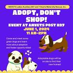 7 Hearts Adoption Event