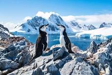 Club Night - Guest Speaker Shirley Harris, Antarctic Science Programme