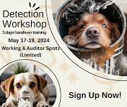 3 Days Detection Workshop ~ Only a few spots left!