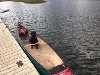 Puppies go Paddling