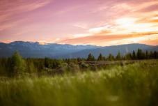 Twin Lakes Heritage Park Cleanup