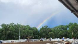 4-H Horse Show