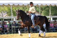 Perceptive Riding with Lester Buckley