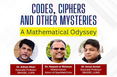 Codes, Ciphers and Other Mysteries: A Mathematical Odyssey