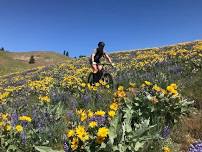 Wenatchee Dirty Bloom Mountain Bike Race