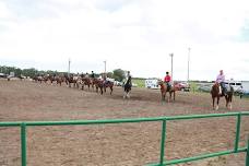 Greater Jefferson County Fair 2024 Open Horse Show