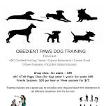 Group training classes, puppy and older