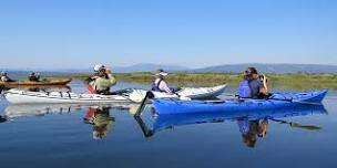 Kayak Tour (Bring Your Own)