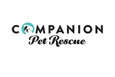 Companion Pet Rescue at Petco, Southington