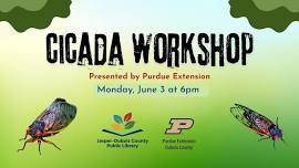 Cicada Workshop