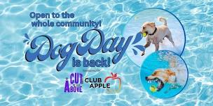 Dog Day - Community Event in Idaho Falls