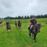 Adult Horse Riding Camp