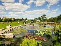 Walk and Talk: Garfield Park Conservatory