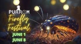 Firefly Festival with Dinner Included