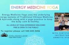 Energy Medicine Yoga®