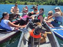 Paddling & Dock Diving @ Whoof on the Wharf