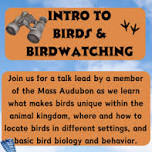 Intro to  Birds &  Birdwatching with Mass Audubon