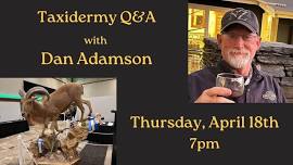 Taxidermy Q&A with Dan Adamson