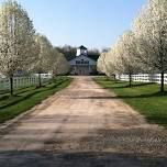 Cobblestone Farms at Revel Run USEA Horse Trials I — The Eventing Association of Michigan