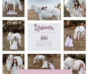 Unicorn Mini Sessions with SP