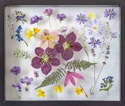 Resin Frame with Dried Flowers/Sea Glass! Ages 13+ LEOMINSTER