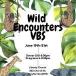 Wild Encounters VBS