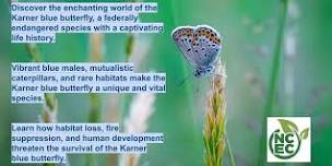 Protecting Newaygo County's Natural Treasure: The Karner Blue Butterfly