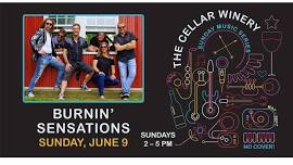 Sunday Music Series | Burnin' Sensations