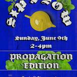 SIP   SOW  PROPAGATION EDITION,