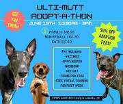 ULTI-MUTT ADOPT-A-THON