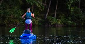 Kids Paddleboarding Clinic