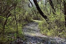 GUIDED HIKE WITH WPP RECREATION STAFF