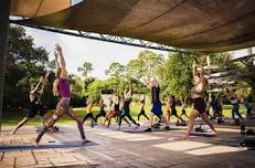 Yoga in the Garden