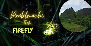 Firefly Night trek to Prabalmachi | Mumbai Mountain Hikers