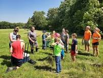 Buzzing with Science: Exploring Pollinators