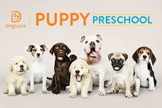 Puppy Pre-School